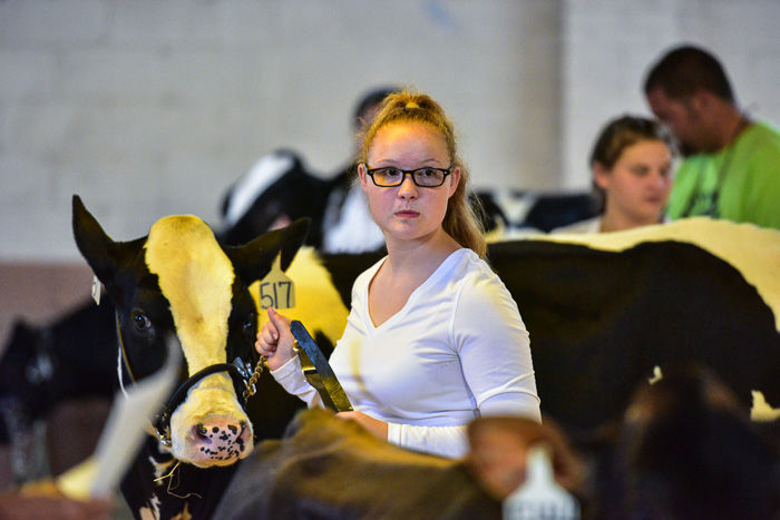 Orangeburg County Fair Dairy Show